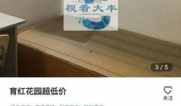 大丰房产爆料最新消息新闻,揭秘楼市动态，热点项目一网打尽